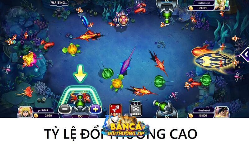 Bắn cá và kiếm điểm